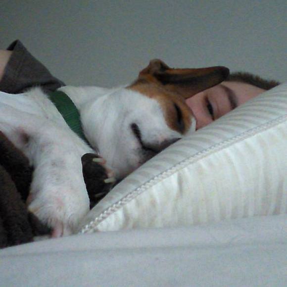 Meet your Posher, Kevin - Picture 1 of 1